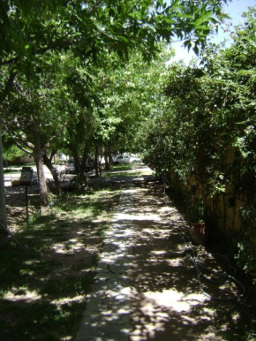 Departamento el Rosedal